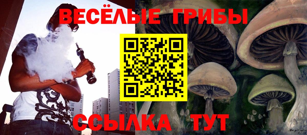 Псилоцибиновые грибы Psilocybe  Галлюциногенные грибы MAGIC MUSHROOMS  Ростов Великий  Вход с VPN 